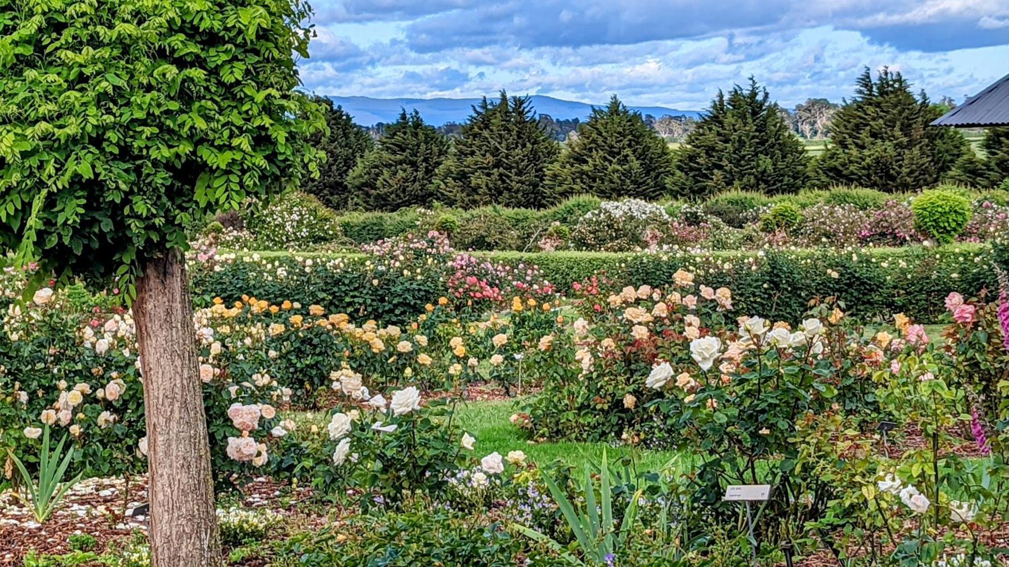 Woolmers Estate Longford Dış mekan fotoğraf